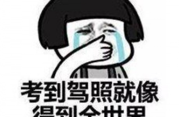 科目一考8次没过找朋友替考 两人均被刑拘 智商掉线