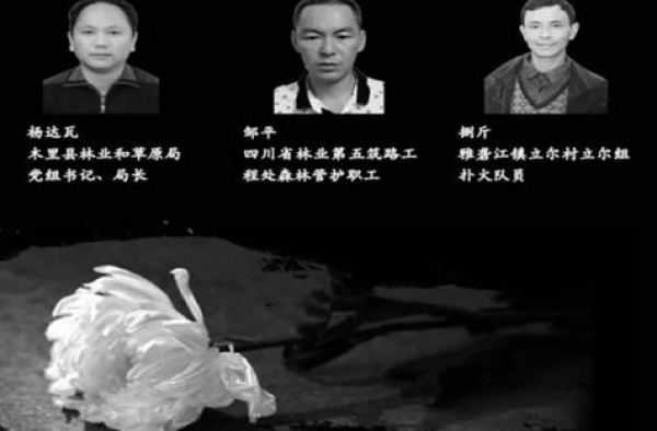 凉山火灾新增牺牲扑火人员 享龄50 每一位英雄都该铭记