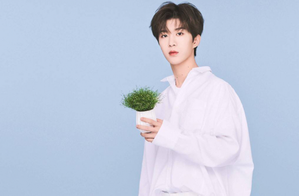 范丞丞主动承担责任 没有范冰冰的庇护也可以很好？