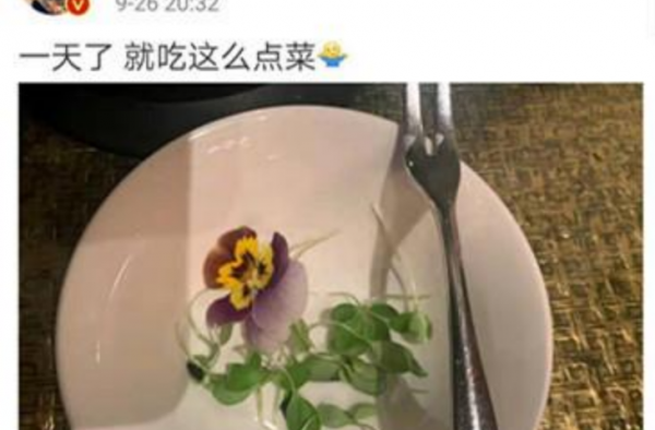 沈腾耍大牌头像 连续占据一周热搜的沈腾 最近在忙什么