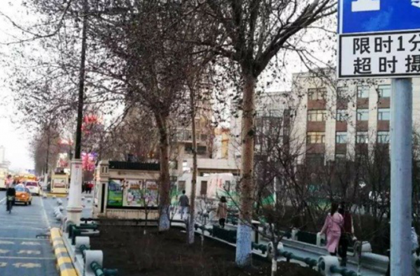 马路上这个新标线碰不得 交警提醒：轧一下罚100扣3分