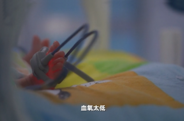 国庆四胞胎父亲回应孩子早产高危 回应网友质疑