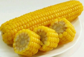 ڼͳʲô 4Ӫḻ