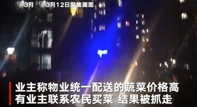 孝感小区近百人聚集煽动者被捕 网友力挺 问题属实吗