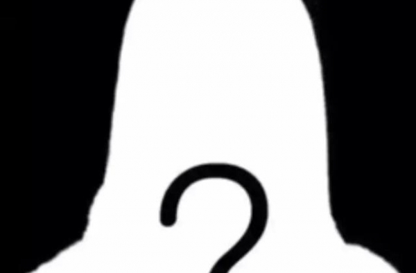 锦鲤割韭菜?女星不满团队?放飞小仙女进黑名单?小龙业务不精?