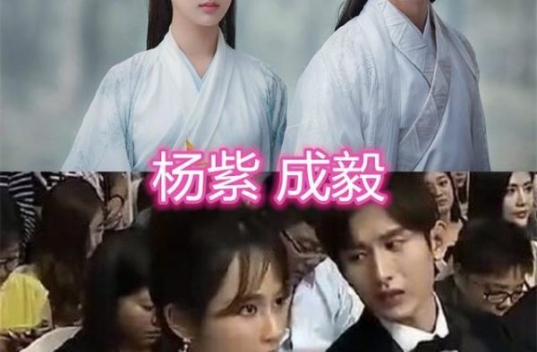 明星的异性好友，成毅和杨紫关系好，袁冰妍米热是同学
