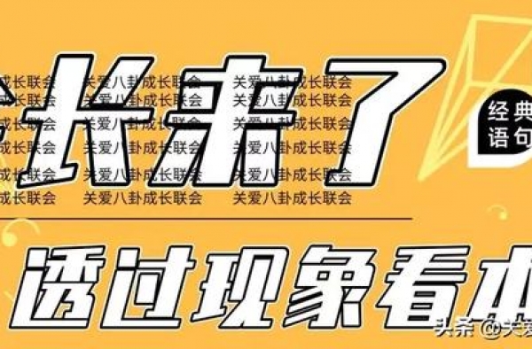 肖战王一博cp？郑爽杨洋合作？秦俊杰发展？李一桐资源？