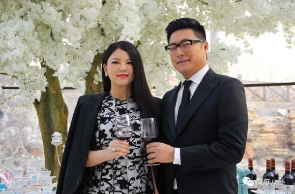 女主持人的红与黑/那个总帮老公们澄清的芒果一姐