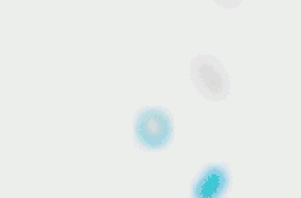 众所期待的《花木兰》，口碑为何扑街？