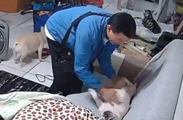 阿公出去玩3天...进门第一句「呼喊金孙」　默契翻肚画面超闪