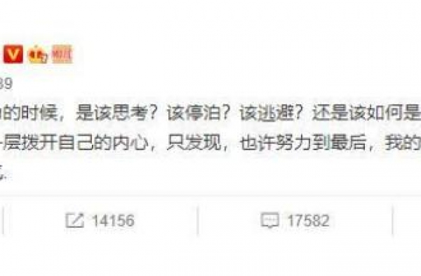 刘涛一路走来不容易，不管是相夫教子还是事业，她都做到极致