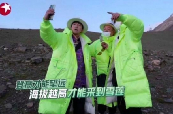 出事后珍稀植物=“道具”？综艺节目或用谎言“饮鸩止渴”