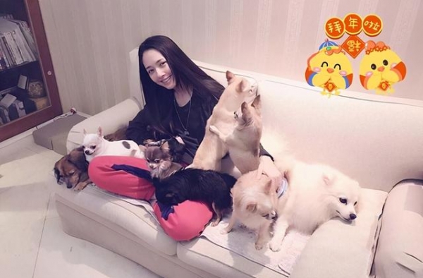 郭碧婷晒出自己的家，向佐真的太宠她了，满地新衣服连包装都不拆