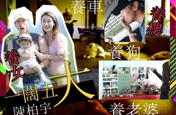 8个月零收入！陈柏宇烧百万老本：我像个乞丐