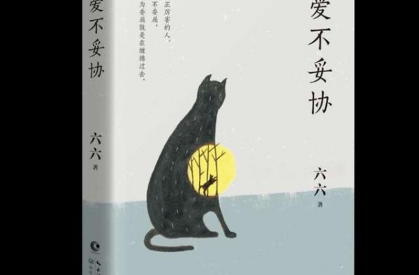 六六新书《爱不妥协》：演绎“四十不怂”
