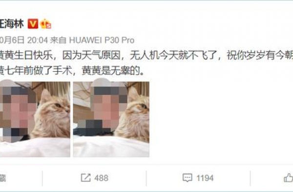汪海林人生的6大高光时刻，这究竟是人性的扭曲还是道德的沦丧？