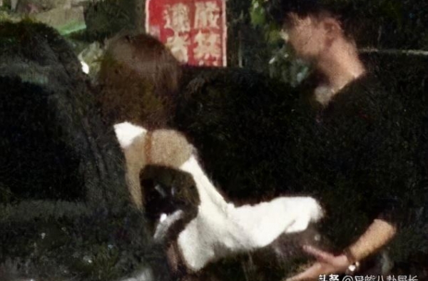 全都完蛋啦