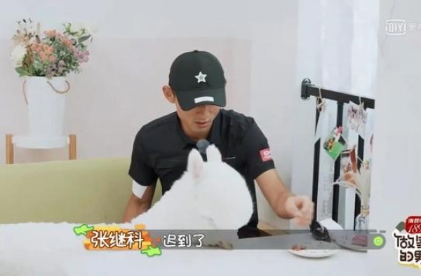 好像直男们都挺喜欢金晨