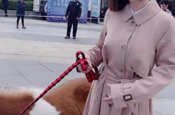 柳岩剪短发焕然一新，还有清纯感，要颜值有颜值要身材有身材