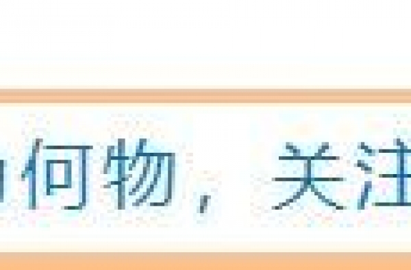 因“配角”脱颖而出？看似不起眼的她，背后究竟有多大的实力？