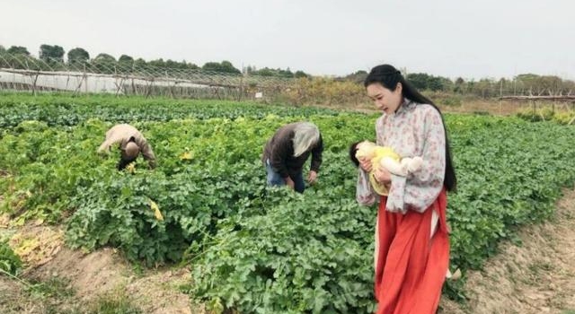 张纪中娇妻久违秀恩爱，一家人体验农耕生活，张纪中被赞老当益壮
