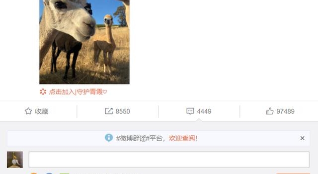 林青霞分享旧照，影迷也纷纷晒出心目中女神的最佳照片