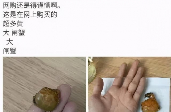 哪怕是明星，也逃不过网购踩雷