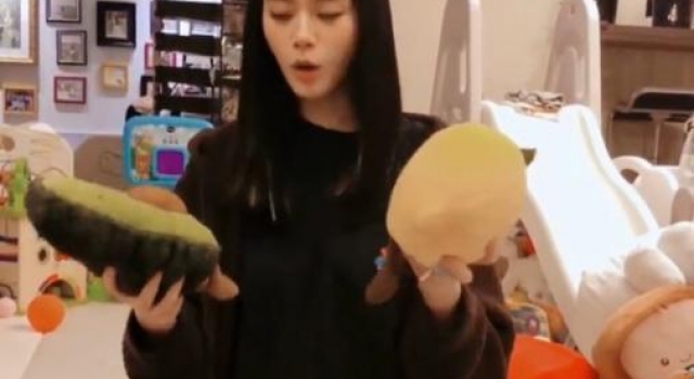 奚梦瑶何猷君千万豪宅曝光 儿子万元玩具堆积如山