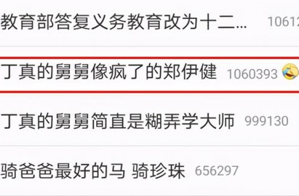 丁真的舅舅火了！长得像疯了的郑伊健，摄影师称其可以考进TVB