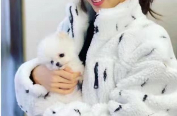 奶茶妹妹章泽天罕染黄发，拉大与老公年龄差，与章子怡似亲姐妹