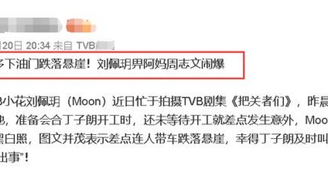 港姐刘佩玥差点坠入河底，事后黑白照曝光现场，却遭好友破口大骂