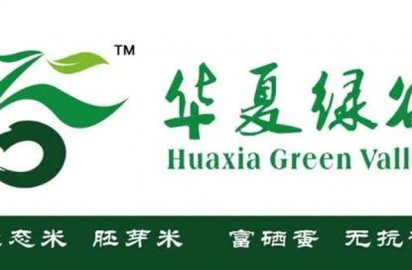 今天，郭敬明、于正公开道歉！终于承认抄袭